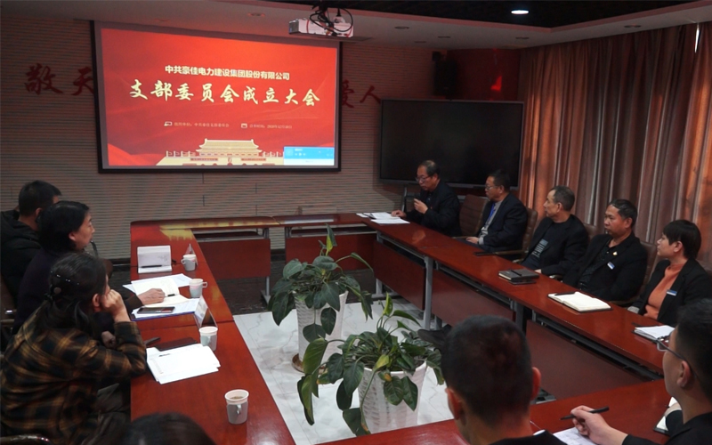 中共豪佳电力建设集团股份有限公司支部委员会成立大会剪影