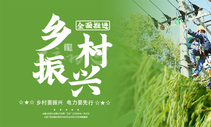 【配网改造】 走在革命老区乡村振兴的大道上 
