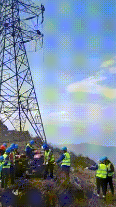 lv_0_20230524100602.gif