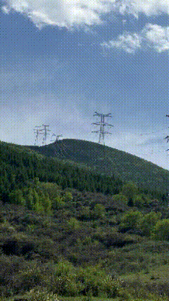 lv_0_20230524093728.gif